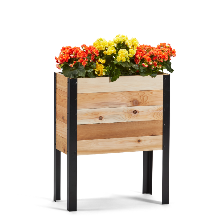 Wooden planter box with colorful flowers on a white background