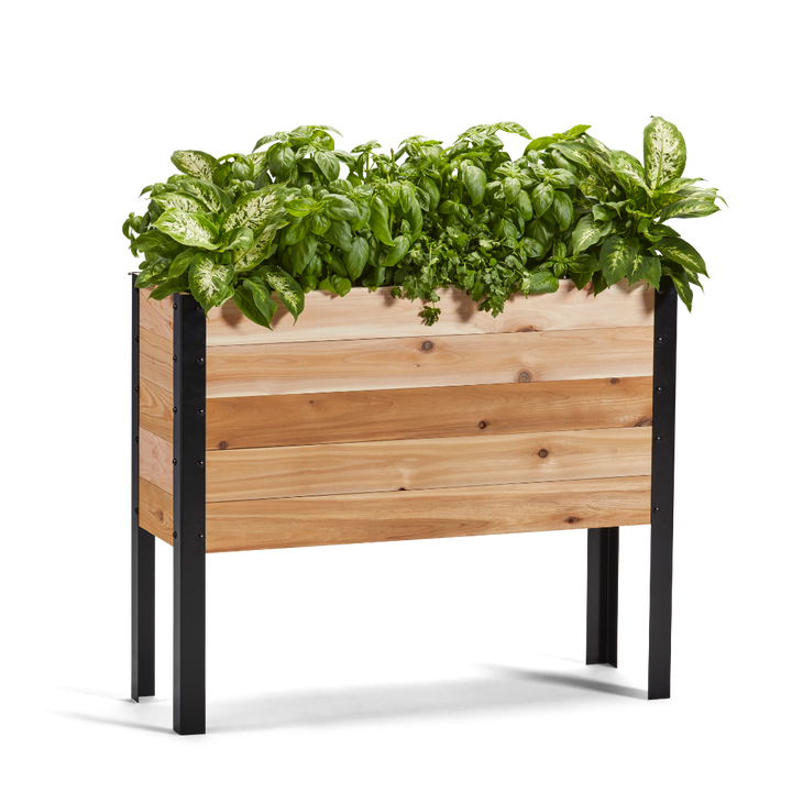 Wooden planter box with green plants on a white background