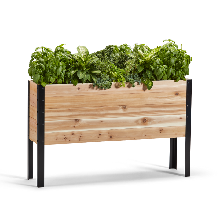 Wooden raised garden bed with green plants on a white background