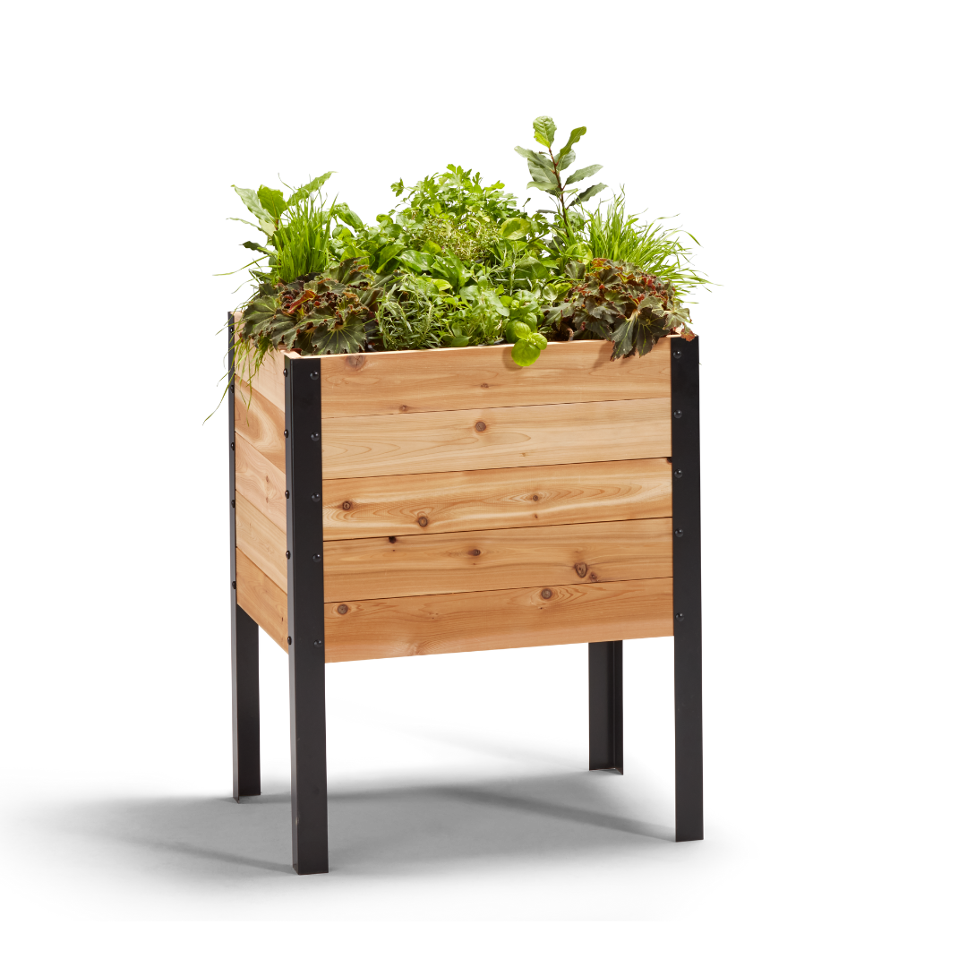 18″ x 24″ Raised Garden Bed - 30 TALL – rectangular cedar planter box for outdoor and garden use