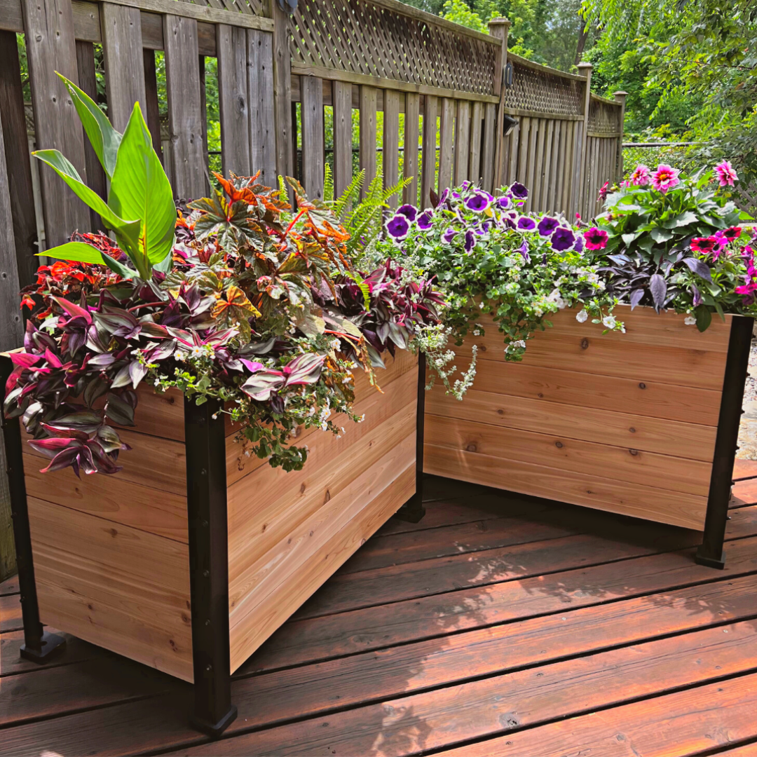 18 x 36 Planter Box - 24 TALL – rectangular cedar planter box for outdoor and garden use