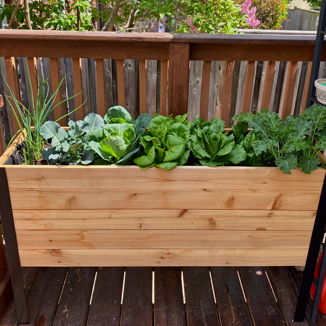 Slim raised garden bed – rectangular cedar planter box for outdoor and garden use