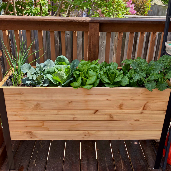 Slim raised garden bed – rectangular cedar planter box for outdoor and garden use