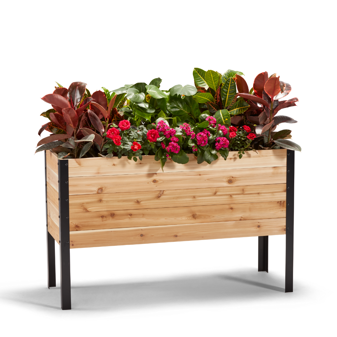 Raised Garden Bed - 46cm x 122cm x 76cm