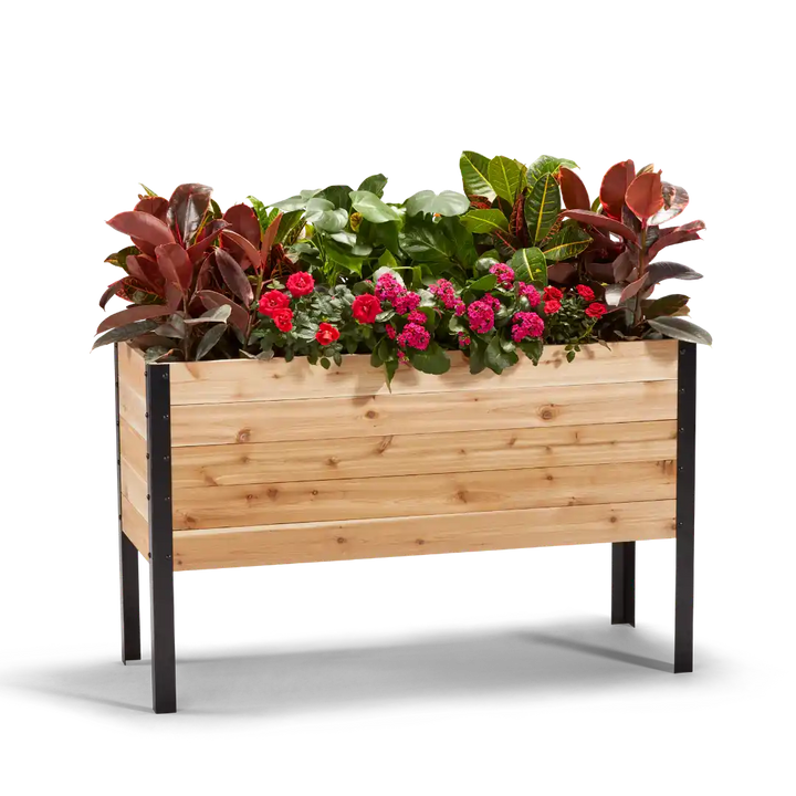 Slim cedar raised garden bed with plants
