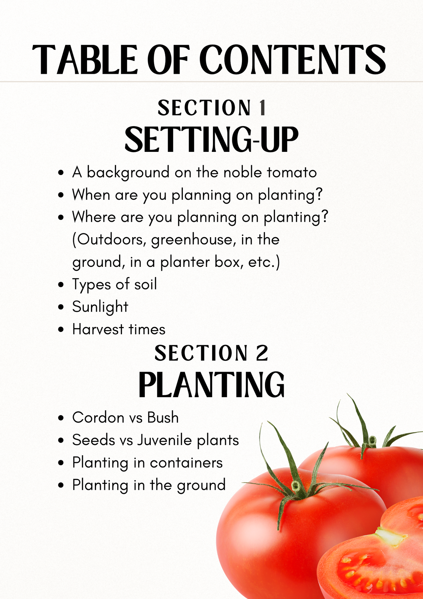 E-book: Tomato planting guide