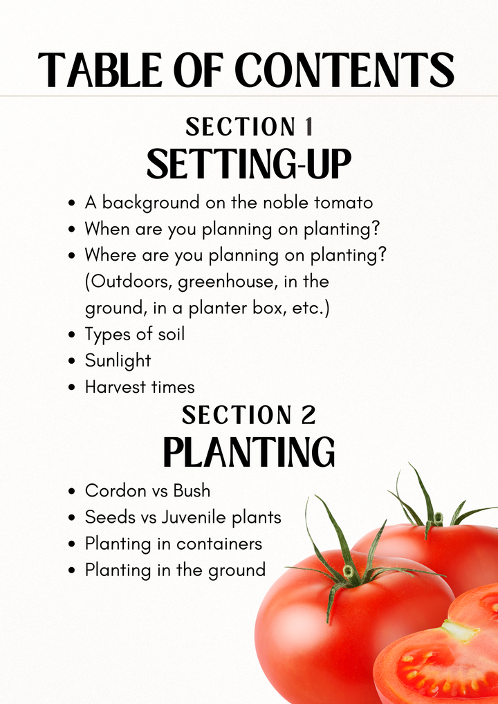 E-book: Tomato planting guide – rectangular cedar planter box for outdoor and garden use