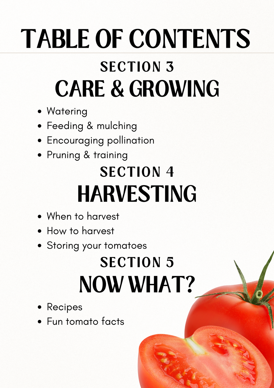E-book: Tomato planting guide – rectangular cedar planter box for outdoor and garden use