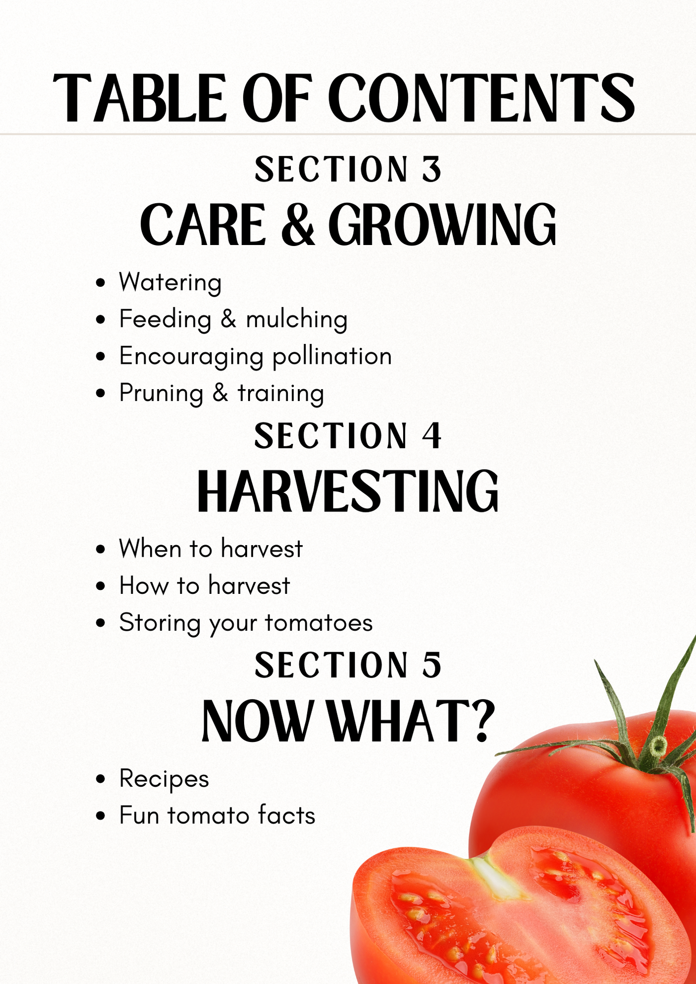 E-Buch: Tomato Planting Guide (Engl. Tomatenpflanzratgeber)