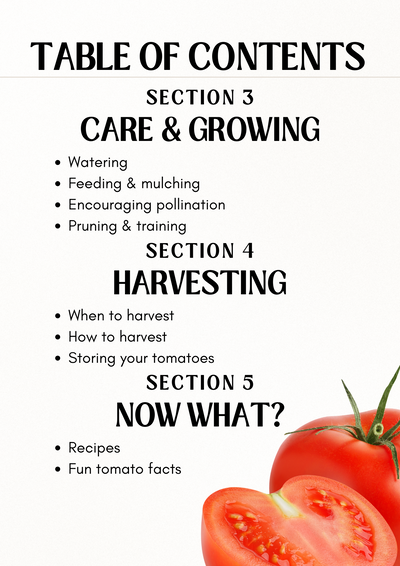 E-Buch: Tomato Planting Guide (Engl. Tomatenpflanzratgeber)