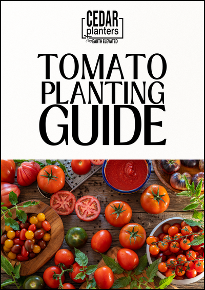 E-Buch: Tomato Planting Guide (Engl. Tomatenpflanzratgeber)