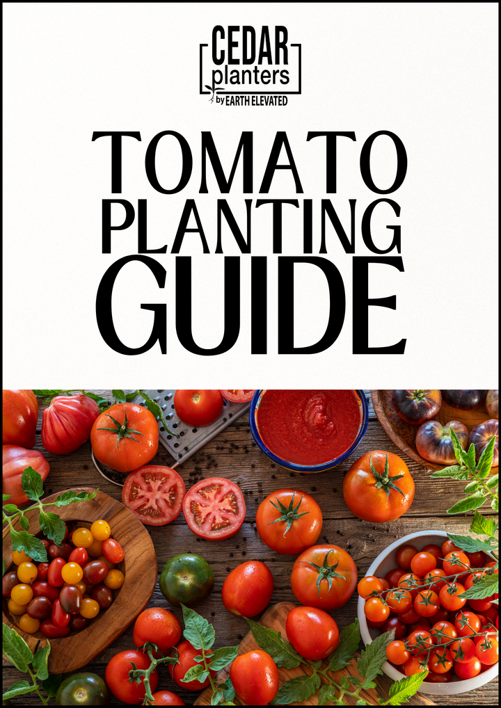 E-book: Tomato planting guide – rectangular cedar planter box for outdoor and garden use