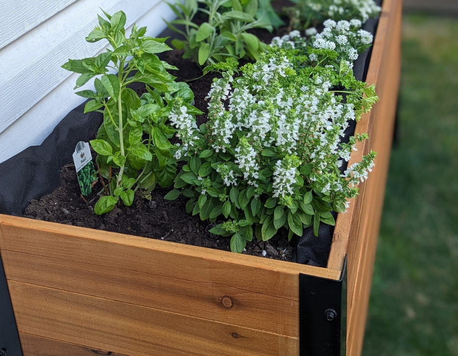 Cedar Planters Image 26535560151228