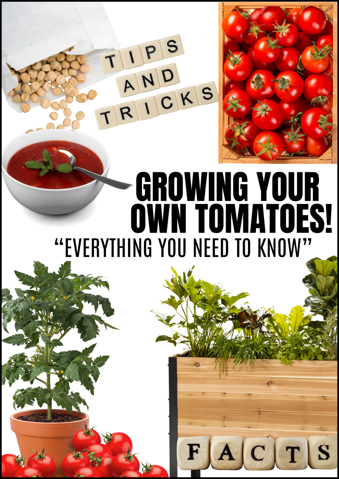 E-book: Tomato planting guide – rectangular cedar planter box for outdoor and garden use