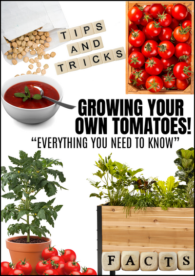 E-Buch: Tomato Planting Guide (Engl. Tomatenpflanzratgeber)