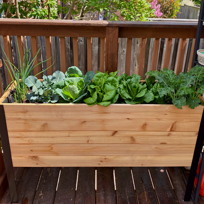 Raised Garden Bed - 46cm x 122cm x 76cm