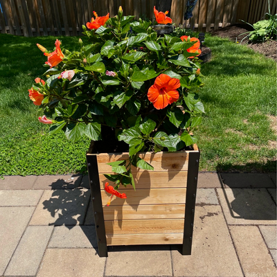 Pot Planter - 46cm x 46cm x 61cm